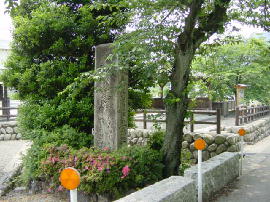seki-nisioiwake64s.jpg^֏hEǕ