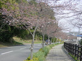 wada-sekijouji114s.jpg^acEΏ㎛̓