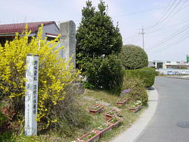 wada087s.jpg^J@xΔ
