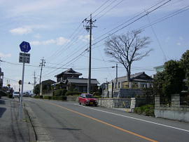 wada115s.jpg^acꗢ