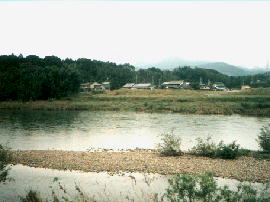 ejima11.jpg�^�J�オ��̍]�����t��