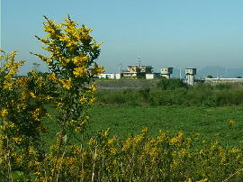 gejo09.jpg�^�Z�C�^�J�A���_�`�\�E