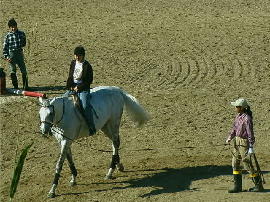 gejo16.jpg�^�����E�n�p�Q