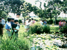 gesui02.jpg�^�Ƃ�ڒr