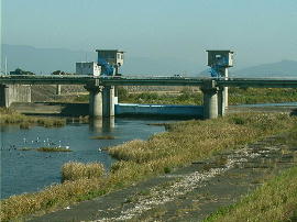 gyoumei35.jpg�^�L������H�^���q��