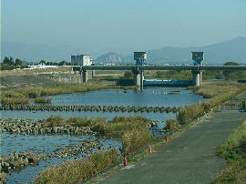 gyoumei42.jpg�^���q��