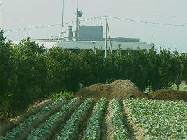 josui-nanbu3.jpg