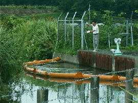 morioka52.jpg�^�X���搅��S�~�Ƃ�