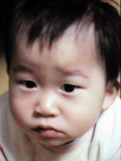 ayu12mos