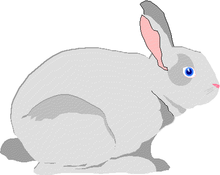 rabbit.wmf (7190 oCg)