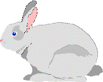 rabbit_l.gif (7158 oCg)