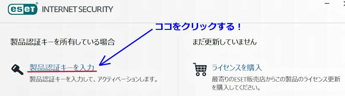 img-3.jpg(35205 byte)