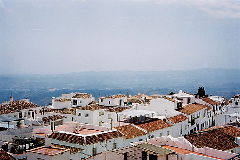 sapian18