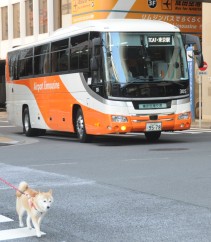 東京空港交通 Airport Limousine リムジンバス 私設