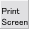 PrintScreen