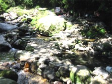 �ǂꂪ���C�����悭�킩��܂���ˁ`