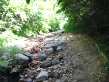 �����炬����