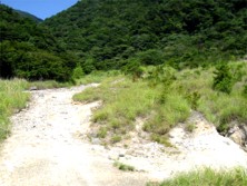 �ڂ̑O���Ђ炯���[�A���悢�悩�`