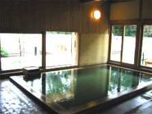 �K���X���̌������ɂ͘I�V���C