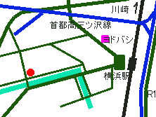 XpCAX̒n}