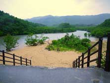 ただの植物と山と川の風景だけど画になりますね〜