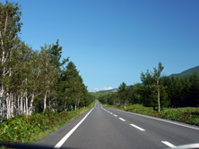 知床五湖への道