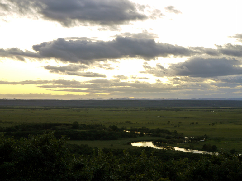 �׉��W�]��