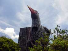 oNCi