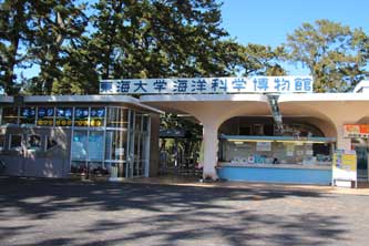 CwCmȊw