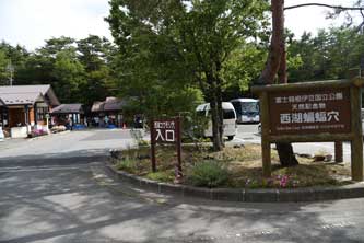 啌