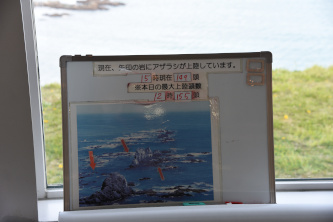 AUV]ŊmFł