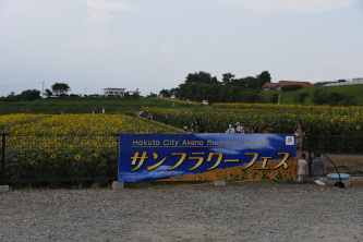 kmsTt[tFX