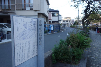 _ސ{w
