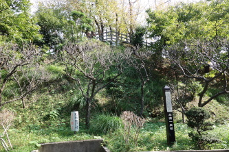 iZꗢˍ