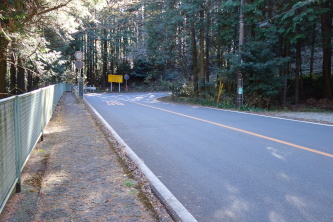 Ȃ