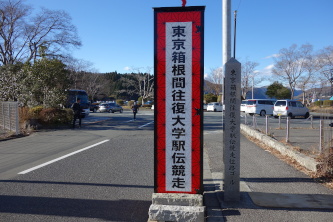 w`S[n_