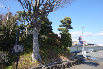 ʈ䎛ꗢ