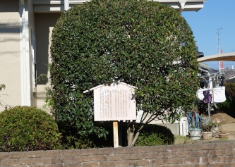 ���̈ꗢ��