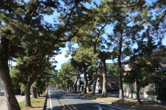 ����̏�����