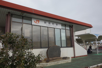 �V�����w