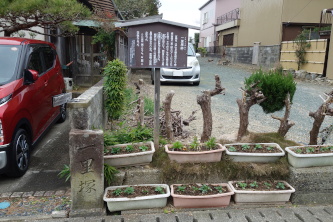 �V���̈ꗢ�ː�