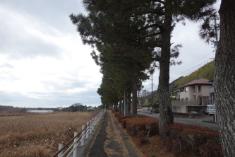 �l�����X��������