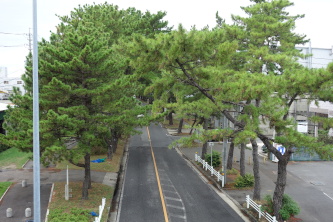 ���C�����ؕ������̏ォ��