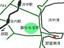 䂤̒n}