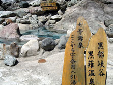 Fތ̌ł邱Ƃ̊Ŕ
