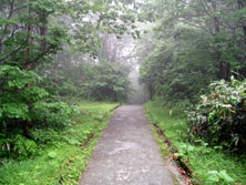 IVCւ̓