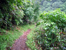 山道