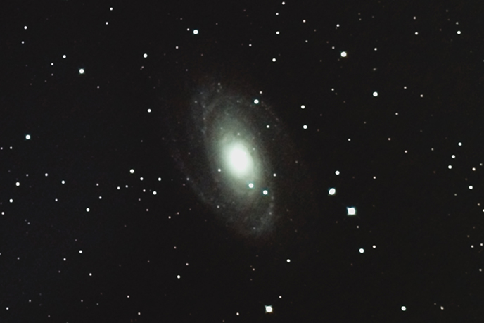 M81