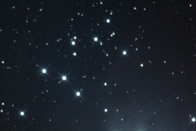 NGC1981