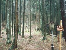 �ܗ��� ��q�̒i